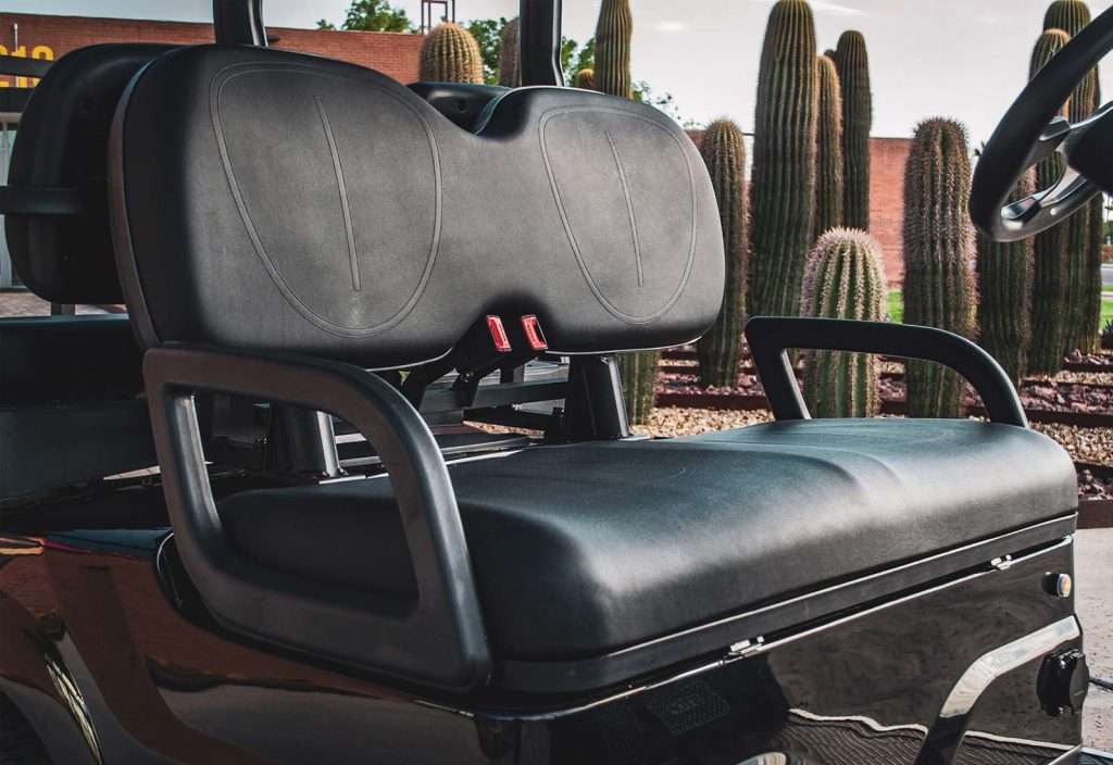 Close-up of a black leather golf cart seat with cacti in the background.