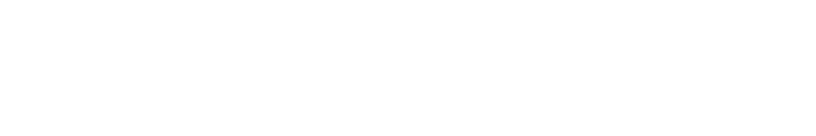 A white stylized logo with the text 'BIN'T'.